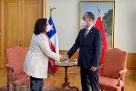 智利新任外交部长：越南是智利在东南亚地区的重要伙伴