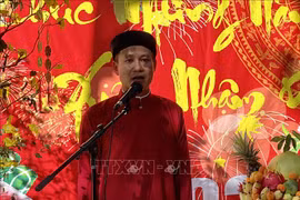 旅居各地越南人纷纷举行活动 喜迎新春佳节