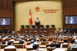 越南第十五届国会第三次会议：国会就银行和交通运输领域开展专题质询活动