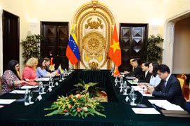 促进越南与委内瑞拉之间的贸易与投资关系