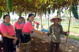 越老建交60周年：老挝妇女联合会代表团访问越南广南省