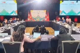 越加经济混合委员会第一次会议在加举行