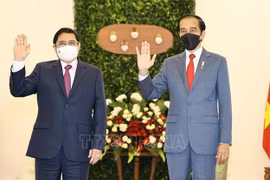 印尼媒体：印尼越南关系建立于坚实的基础上