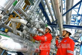 2022年上半年越南油气电力总公司税后利润超年既定计划的56%