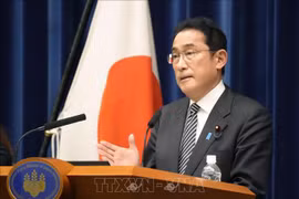  日本强调越南是该国具有共同战略利益的战略伙伴