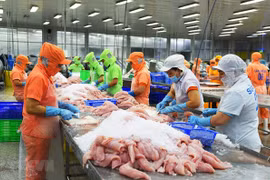 墨西哥成为越南查鱼第三大出口市场