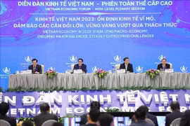 越南政府总理范明政主持第五次越南经济论坛