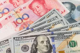 11日越南汇率中间价上涨19越盾
