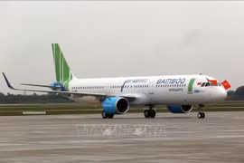 越南航空局召开紧急会议监督越竹航空运营