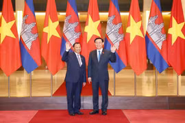 越南国会主席王廷惠与柬埔寨参议院主席赛冲举行会谈