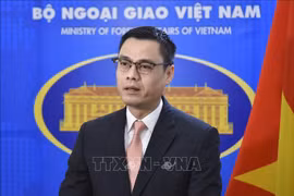 越老建交60周年：越南高度评价老挝在联合国的贡献