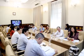 越南外交部成立旅居海外越南公民保护工作指导委员会