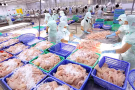 2022年二季度越南水产品出口额或创纪录 