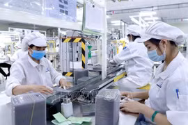 越南经济快速复苏并恢复增长的基础
