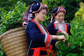 着力增强越南少数民族妇女的经济权能
