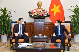 越南外交部长裴青山会见波兰驻越大使馆临时代办马切伊•杜申斯基