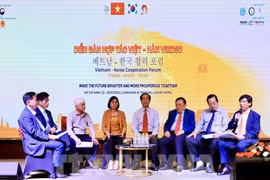 积极吸引韩国对南部各省市的投资