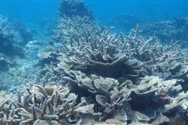 6.8 世界海洋日：携手行动，重振海洋生机