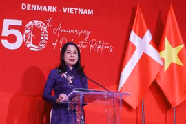 越南与丹麦建交50周年庆典在河内举行