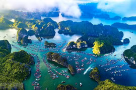 越南努力推动绿色海洋经济发展中的国际合作力度