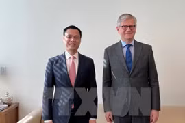 联合国希望越南提高能力 更积极深入地参与联合国维和行动
