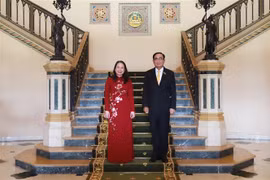 越南国家副主席武氏映春会见泰国总理巴育·占奥差
