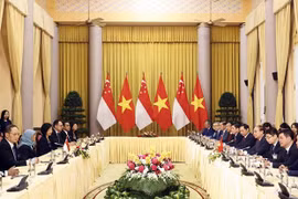 越南国家主席阮春福与新加坡总统雅各布举行会谈