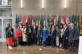 法国开发署和许多非政府组织继续向越南提供支持