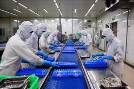 2022年越南农业增加值增长3.36%