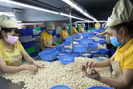 越南对柬埔寨出口大幅增长