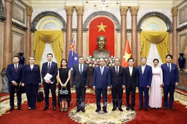越南国家主席阮春福接受荷兰、匈牙利、澳大利亚、卢森堡等国新任驻越大使递交国书