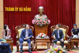 岘港市希望更多美国企业对该市高科技领域进行投资
