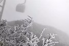 老街省番西邦峰在春季出现霜冻现象