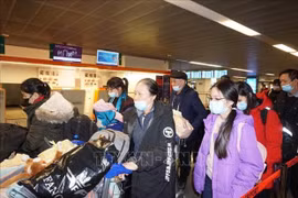 保护在乌克兰越南公民：载运越南公民从波兰回国的航班将于3月10日降落河内内排机场