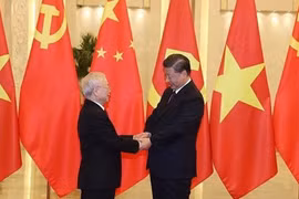 推动越中全面战略合作伙伴关系不断迈上新台阶