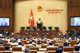 第十五届国会第四次会议：坚决及时采取措施 打击和删除社交网络不良和恶意信息