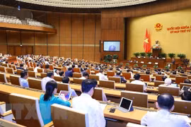 十五届国会四次会议：就打击犯罪和违法行为工作进行讨论