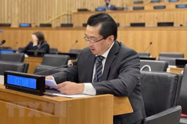越南重申：《联合国宪章》是国际社会的重要行动指南