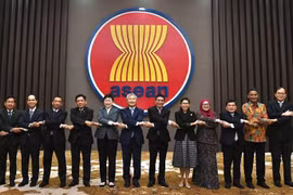 越南共同主持召开东盟-韩国联合合作委员会第九次会议