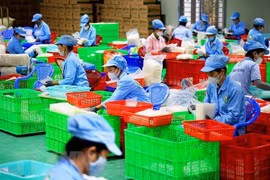 东盟与中日韩分享疫后劳动力市场恢复经验