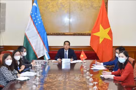 第5次越乌副外长级政治磋商以视频方式举行