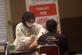 印尼奥秘克戎变异株感染人数猛增
