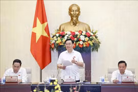 越南国会常务委员会立法工作专题会议开幕