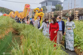 2022壬寅虎年新春将至：河内市春节花卉街拉开序幕