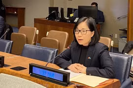 越南重申支持联合国秘书长呼吁全球停火