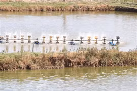 柬埔寨在湄公河上游成立水产研究中心