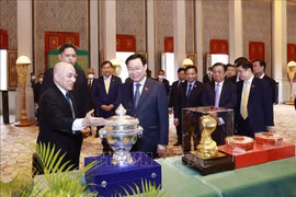 越南国会主席王廷惠拜会柬埔寨国王西哈莫尼  