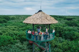 越南旅游：胡志明市将本土文化带入旅游产品