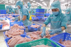 今年前10月水产品出口增长34%