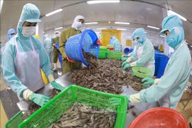 薄辽省着力推动虾产业高质量发展